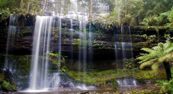 Mount Field waterval Tasmanië