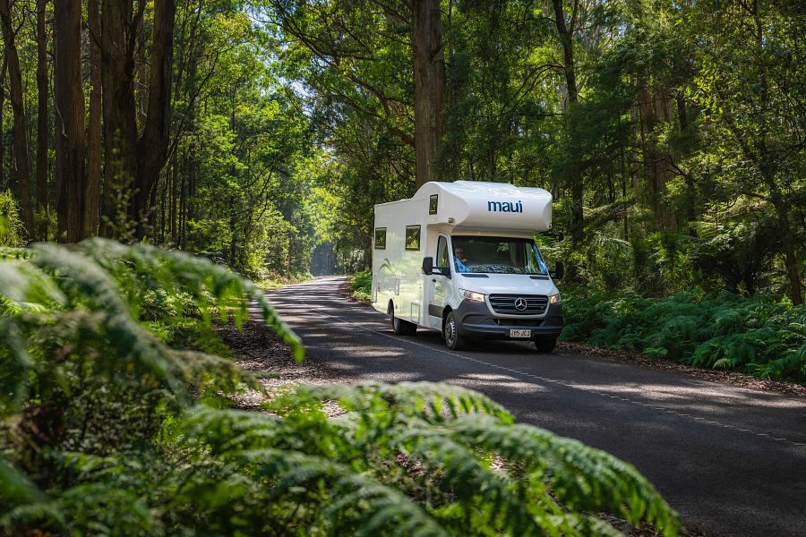 Maui River rijdt door de Yarra Valley in Victoria op een weg tussen groene bomen