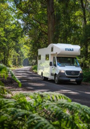 Maui River rijdt door de Yarra Valley in Victoria op een weg tussen groene bomen