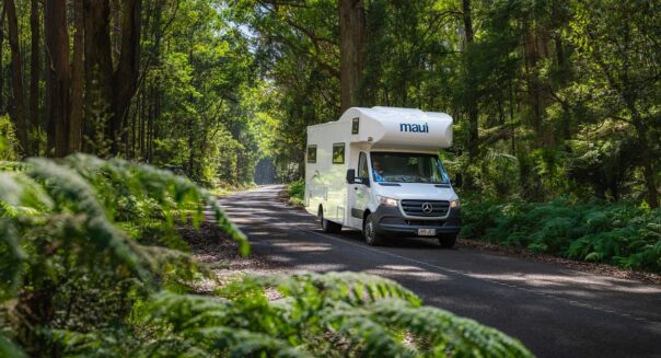 Maui River rijdt door de Yarra Valley in Victoria op een weg tussen groene bomen