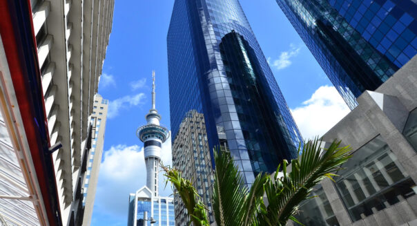 Zicht op de Skytower in Auckland van onderaf gefotograafd, met groene palm op de voorgrond en wolkenkrabbers eromheen