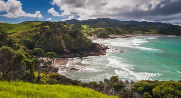 Zicht op een baai in de Bay of Islands in Northland