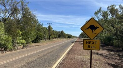 Australië verkeersbord kangoeroe