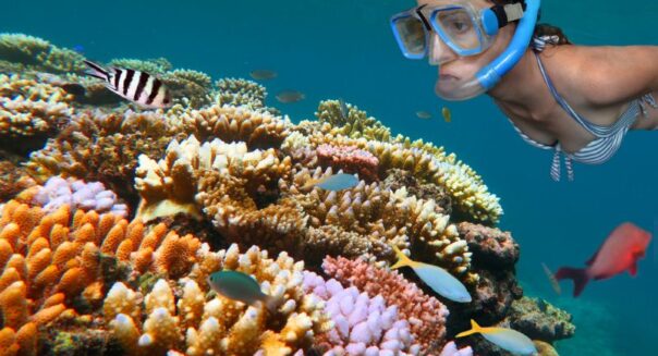 Vrouw snorkelen Great Barrier Reef