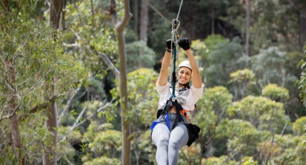 Zipline Tamborine Mountain Queensland