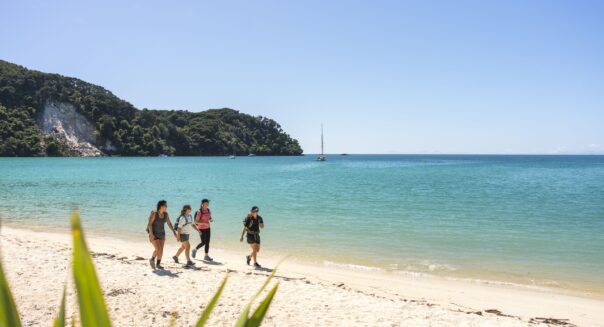 Abel Tasman National park hiking wandelen