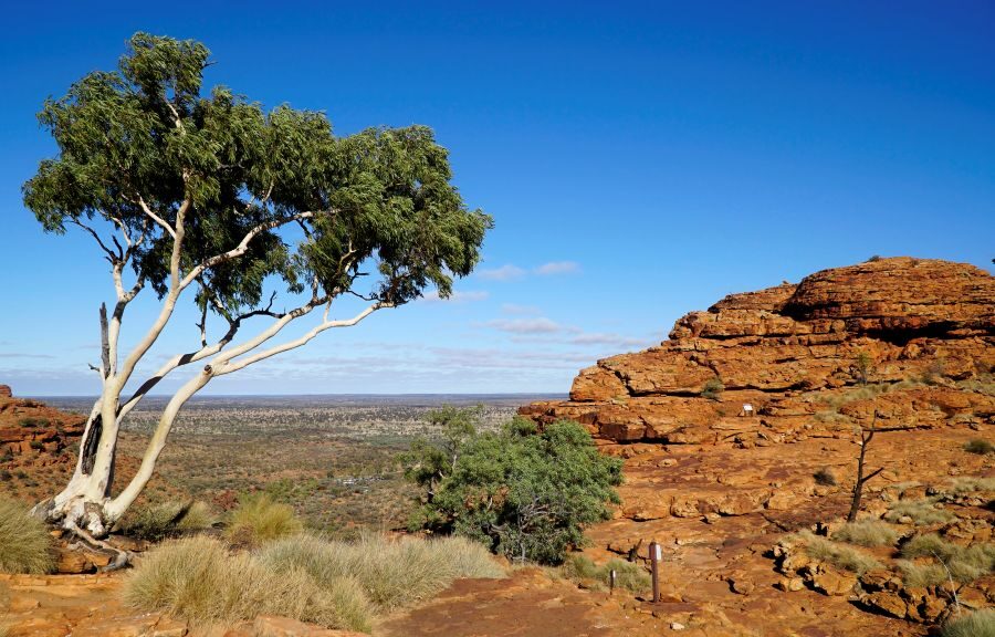 Watarrka Kings Canyon Rim Walk