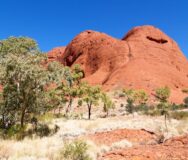 Rotskoepels met groene bomen ervoor bij Kata Tjuta in het Red centre