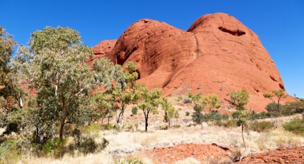 Rotskoepels met groene bomen ervoor bij Kata Tjuta in het Red centre