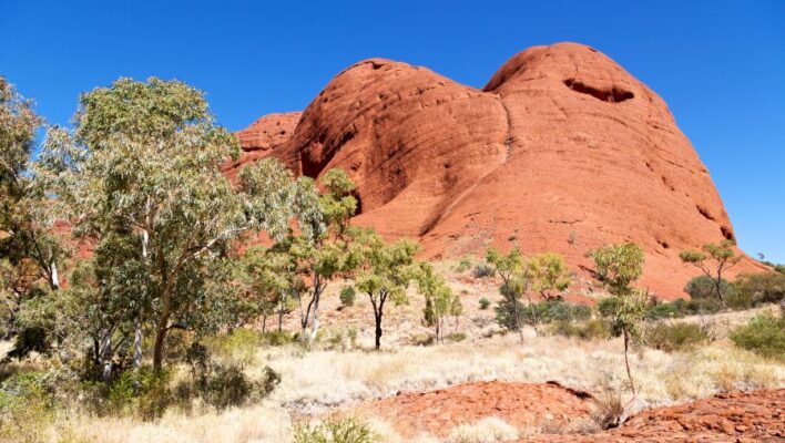 Rotskoepels met groene bomen ervoor bij Kata Tjuta in het Red centre