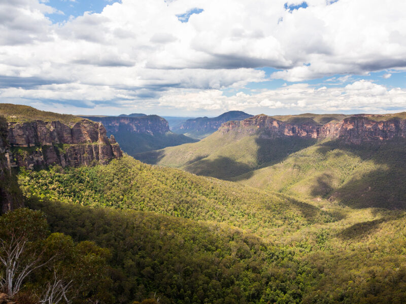 De bergen en eucalyptusbomen in de Blue Mountains in Australië