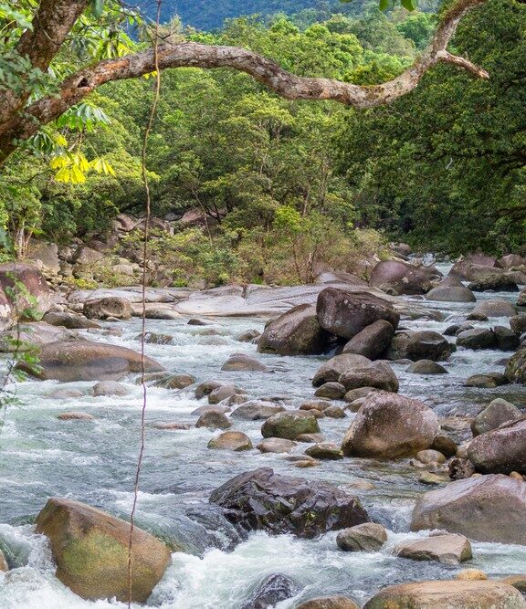 Stenen in de rivier in de Mossman Gorge