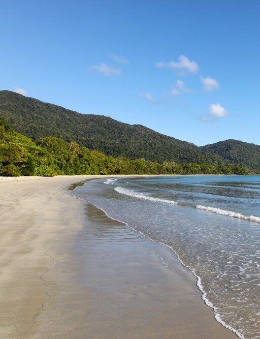 Cape Tribulation