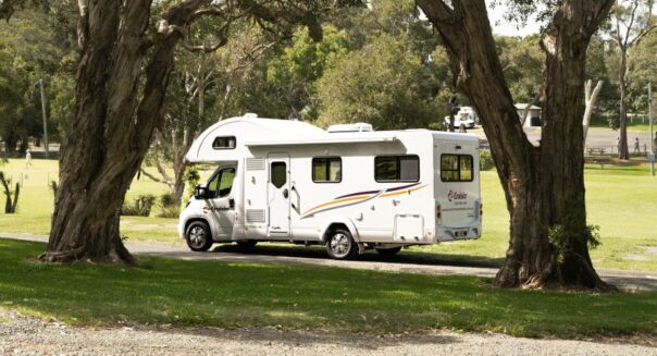 Cruisin' 4 Berth Deluxe staat tussen de bomen