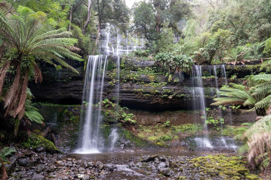 Watervallen in het bos in Mount Field national park Tasmanië