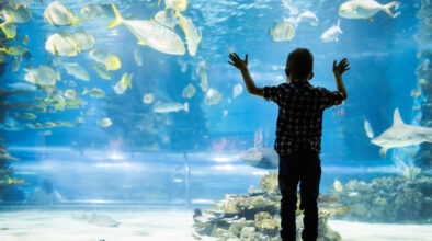 Kind kijkt naar vissen vanachter glas in oceanarium