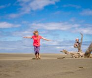Kinderen spelen op strand met dode boom in Nieuw-Zeeland