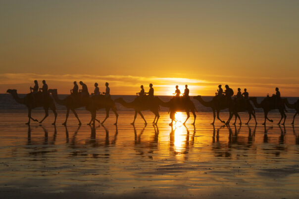 Kamelen lopen achter elkaar in een tocht over Cable Beach in Broome bij zonsondergang