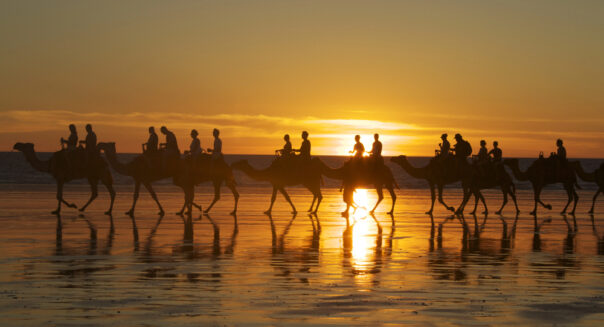 Kamelen lopen achter elkaar in een tocht over Cable Beach in Broome bij zonsondergang