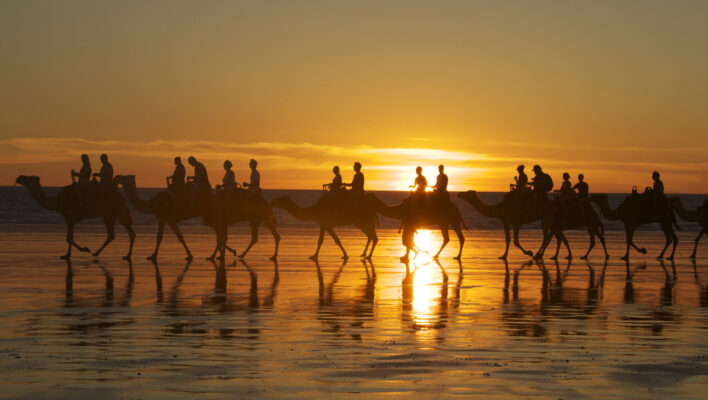 Kamelen lopen achter elkaar in een tocht over Cable Beach in Broome bij zonsondergang