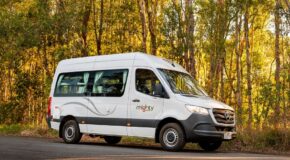 De Mighty Highball camper staat op de weg voor het bos vanaf de zijkant gezien