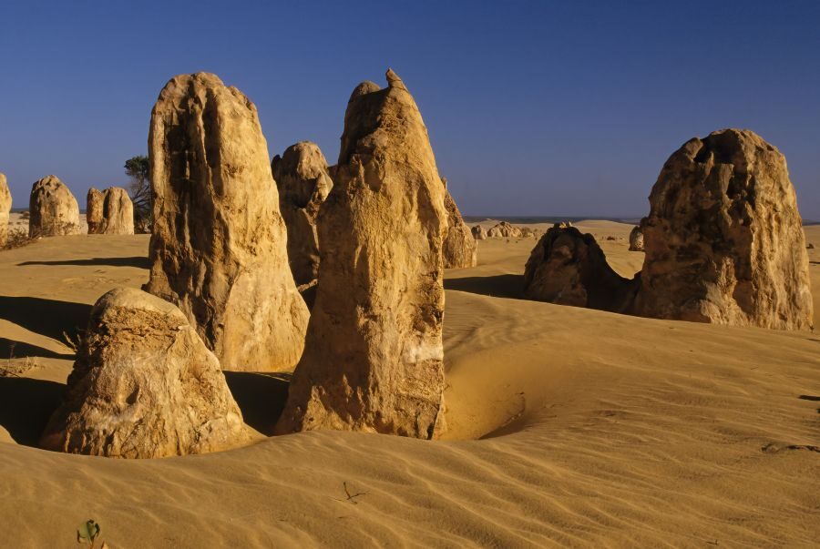 De zandstenen pinnacles in Nambung National Park boven Perth