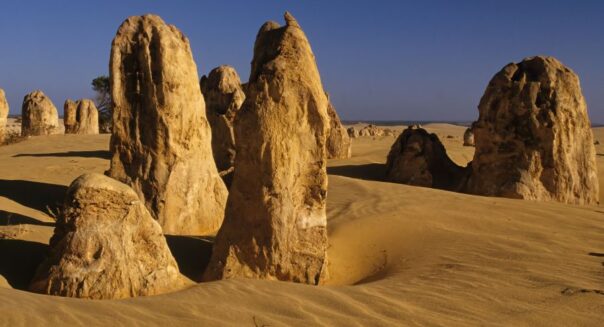 De zandstenen pinnacles in Nambung National Park boven Perth