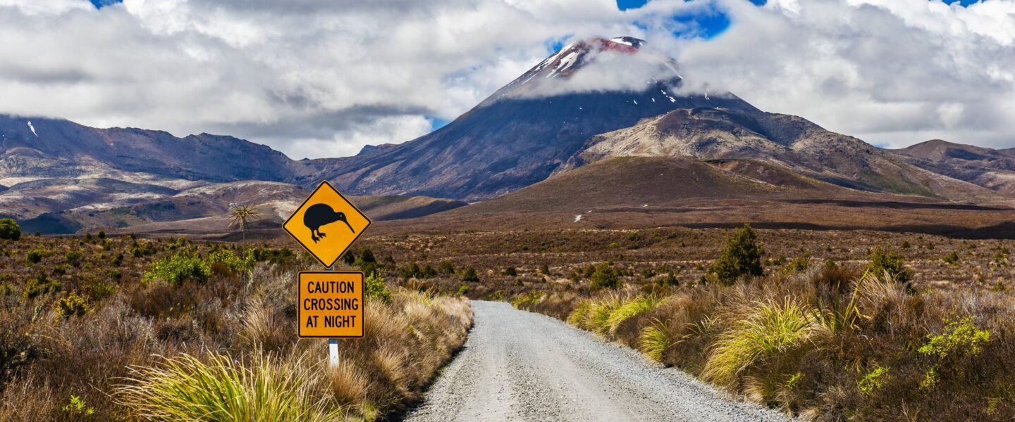 Verkeersbord met kiwi erop staat langs de weg naar een vulkaan in Tongariro National Park