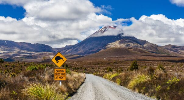 Verkeersbord met kiwi erop staat langs de weg naar een vulkaan in Tongariro National Park