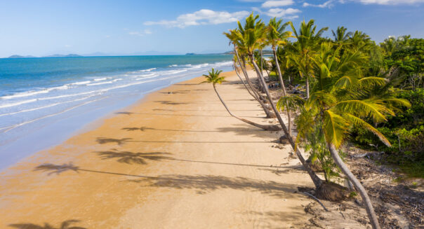 Droneview op het strand van Mission Beach in Queensland met palmbomen