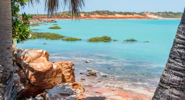 Zicht op azuurblauwe zee bij Broome door palmbomen heen