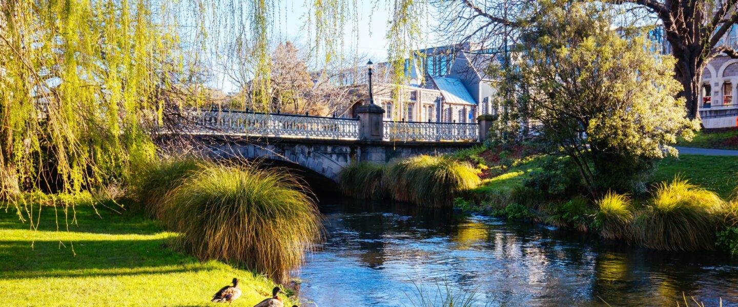 De Avon River in Christchurch met een brug en eenden op de voorgrond