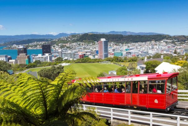 De rode tram rijdt op de trambaan met de stad Wellington op de achtergrond en een varen op de voorgrond