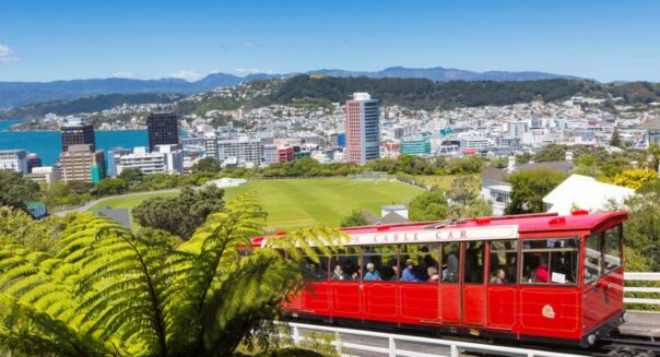 De rode tram rijdt op de trambaan met de stad Wellington op de achtergrond en een varen op de voorgrond