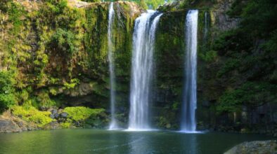 Zicht op de Whangarei Falls en de waterpoel ervoor op het Noordereiland