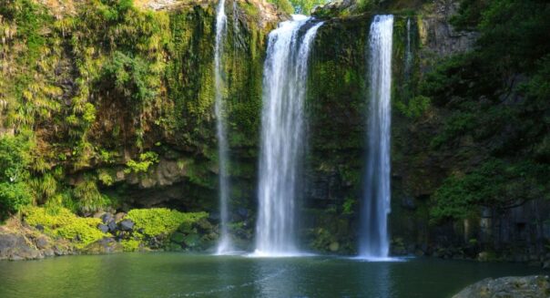 Zicht op de Whangarei Falls en de waterpoel ervoor op het Noordereiland