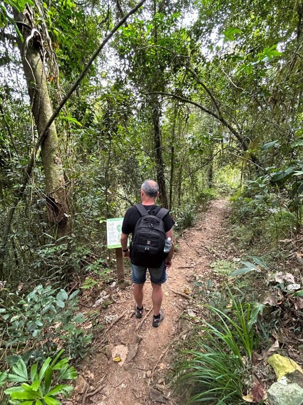 Peter wandelt naar beneden bij de Wallaman Falls