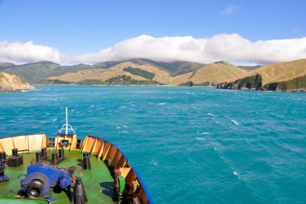 Het uitzicht vanaf de ferry door de Cook Strait van Wellington naar Picton