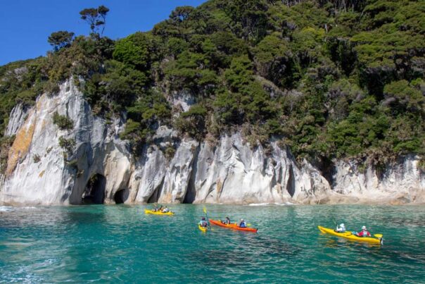 Mensen zijn aan het kayakken op zee bij het Abel Tasman National Park