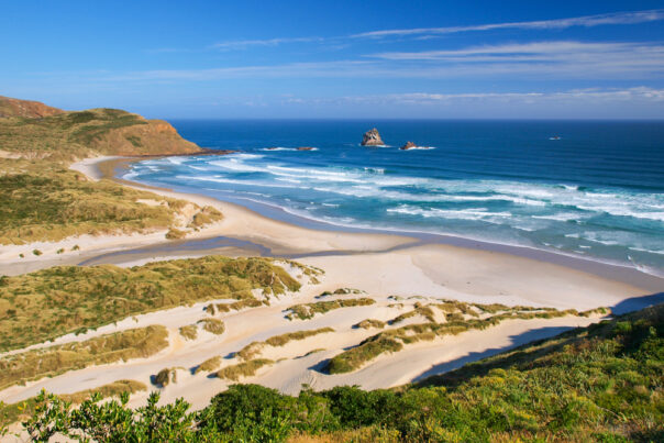 Het strand Sandfly Bay in Otago Nieuw-Zeeland
