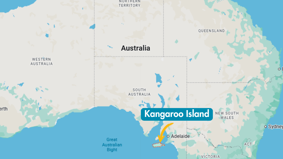 Kaart van Australië waar Kangaroo Island op is aangeduid