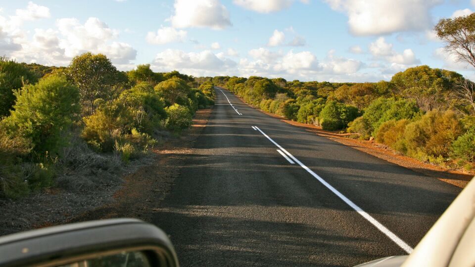 Blik op de weg vanuit de voorruit van de camper op Kangaroo Island