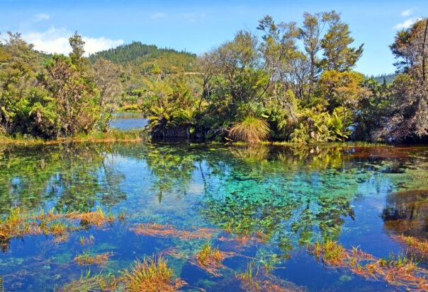 Te Waikoropupū Springs op het Zuidereiland