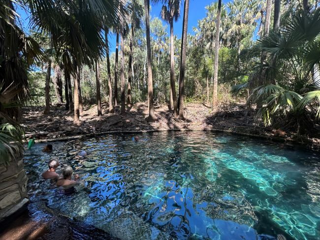 Blauw water van de Mataranka bron tussen de bomen, waar mensen liggen te dobberen