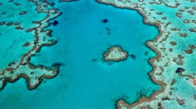 Great Barrier Reef Whitsundays: Heart Reef vanuit de lucht gezien