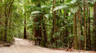 Fraser Island K'Gari zandweg