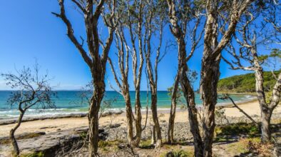 Noosa National Park