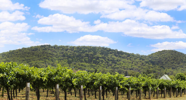 Mudgee wijnregio New South Wales