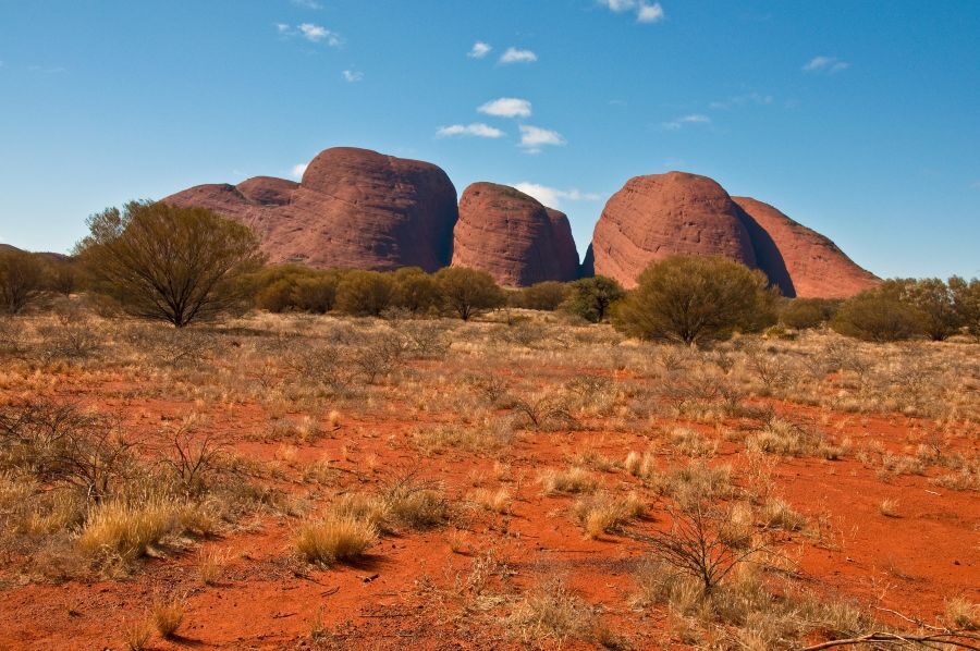 De rode koepels van Kata Tjuta in het Red Centre met gravel op de voorgrond