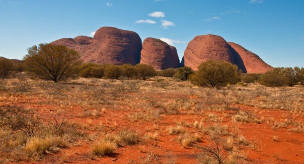 De rode koepels van Kata Tjuta in het Red Centre met gravel op de voorgrond
